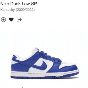 NWT 2020 Nike Dunk Low SP Kentucky UNISEX